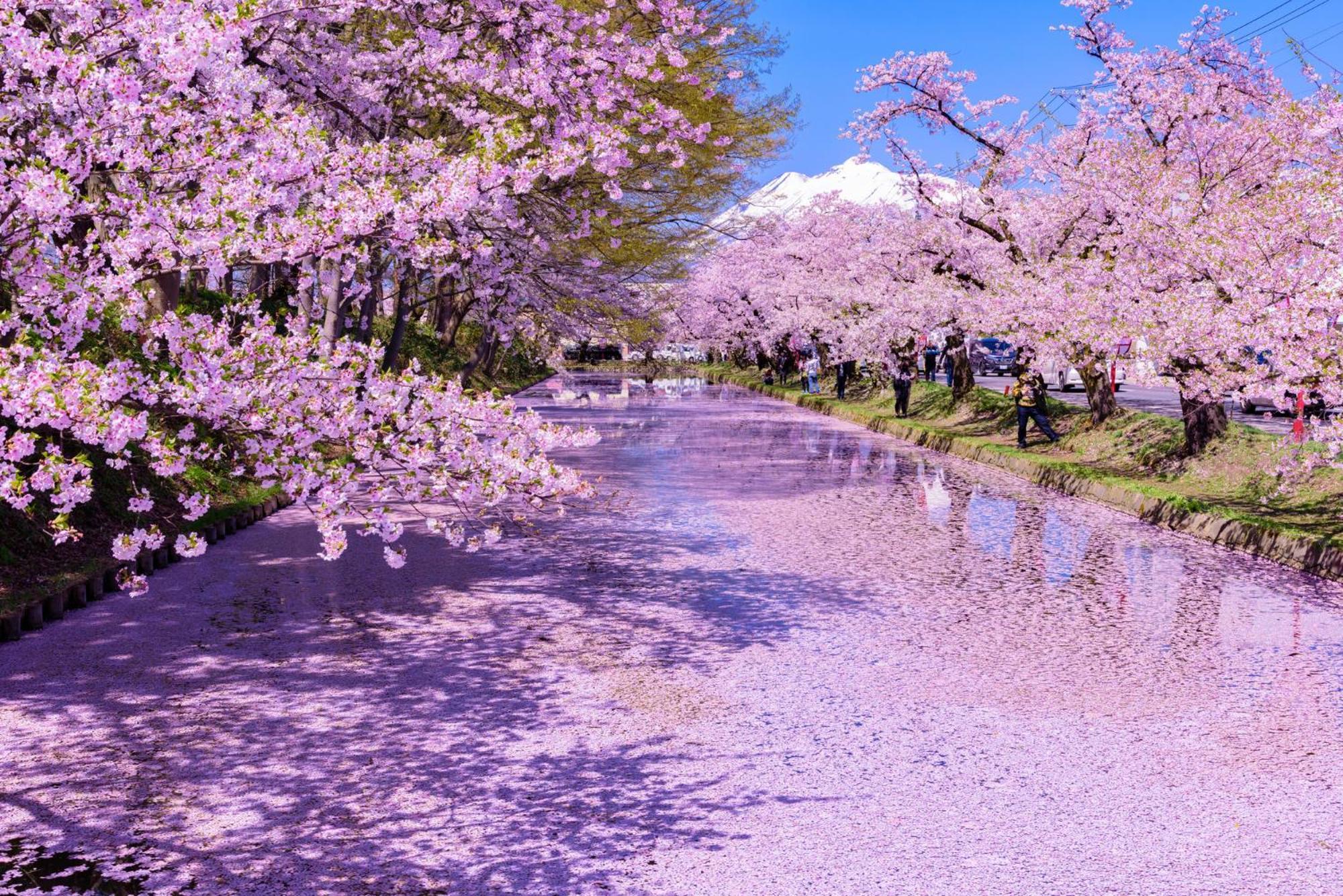 Ryumontei Chiba Ryokan Kazuno Ngoại thất bức ảnh